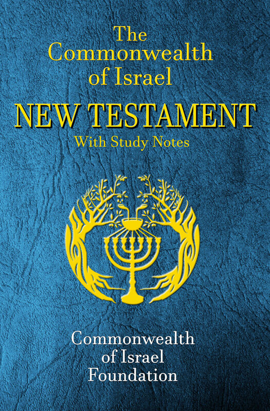 Commonwealth of Israel Reference Bible Project: base image: Photo by Tanner Mardis on Unsplash