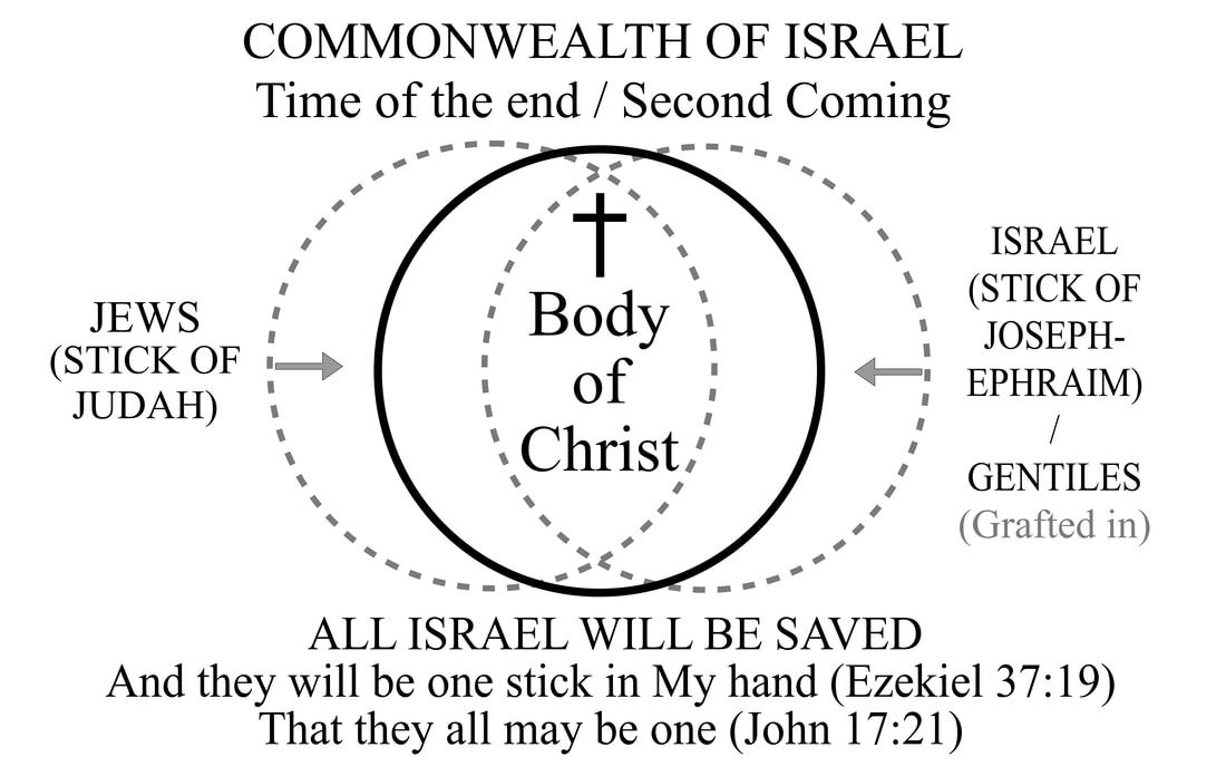 Stick of Judah and Stick of Joseph united in the Commonwealth of Israel under the United Kingdom of David