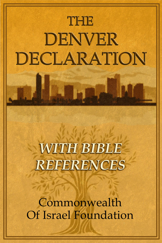 Denver Declaration front cover