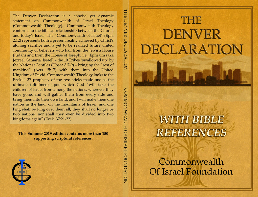 Full cover: The Denver Declaration: With Bible References